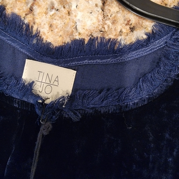 NWT Anthropologie Tina Jo Silk Bend Velvet Blouse - Picture 6 of 11